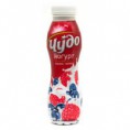 Çudo Yoqurt 270gr